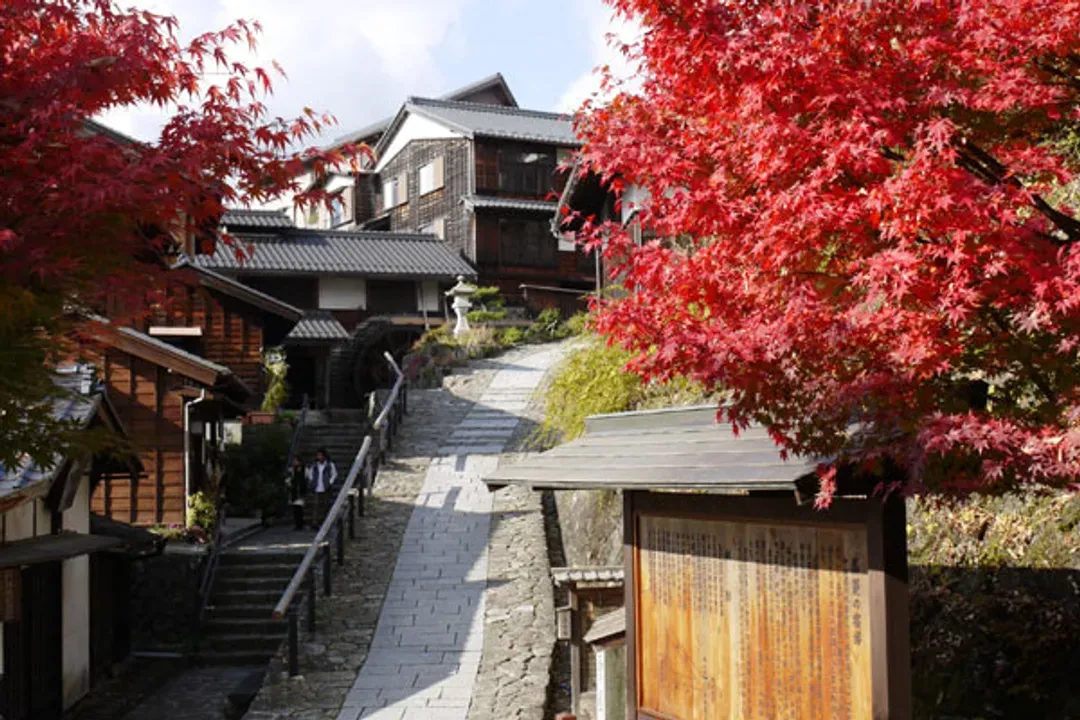 楓映閃亮北陸～立山黑部、飛驒紅葉點燈、合掌村兼六園、高山五星溫泉五日