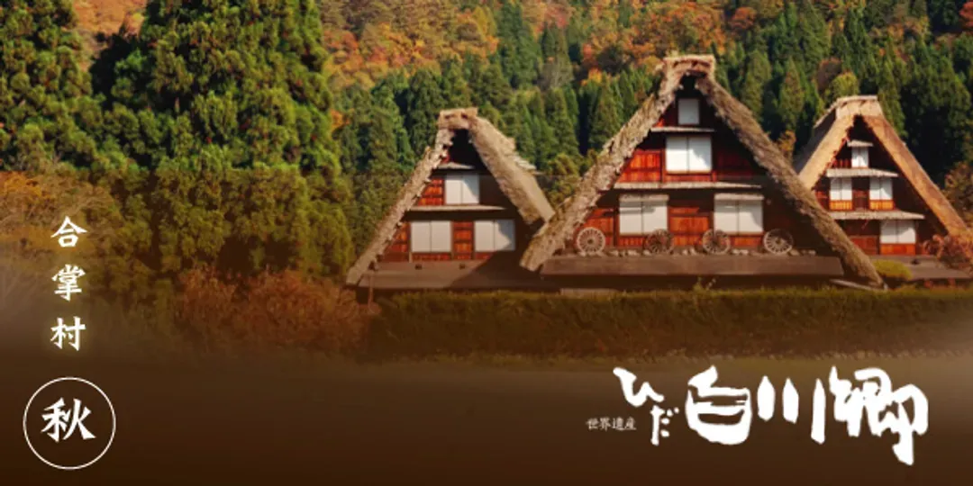 白川鄉合掌村