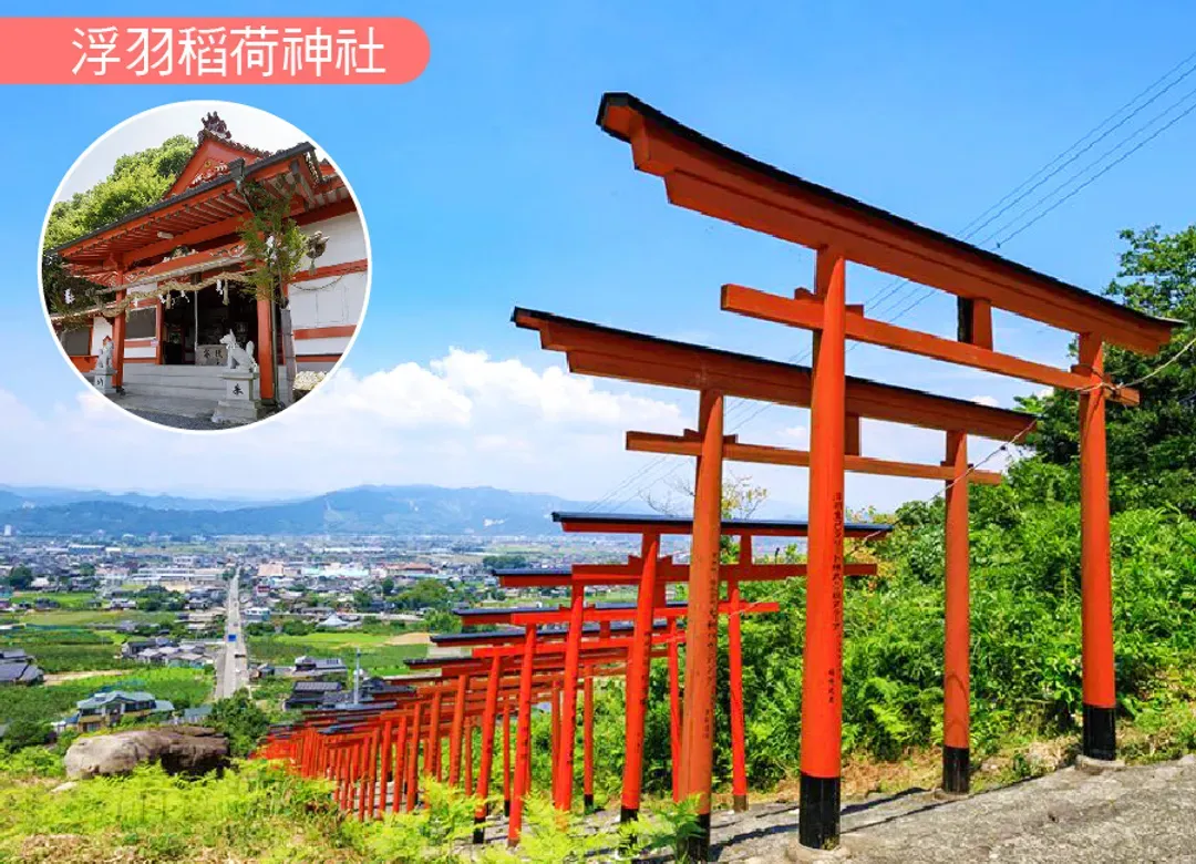 魅力九州漫遊5日.阿蘇溫泉.浮羽稲荷神社.神話高千穗峽.湯布院童話村.大觀峰展望台.柳川遊船.三大螃蟹吃到飽-5