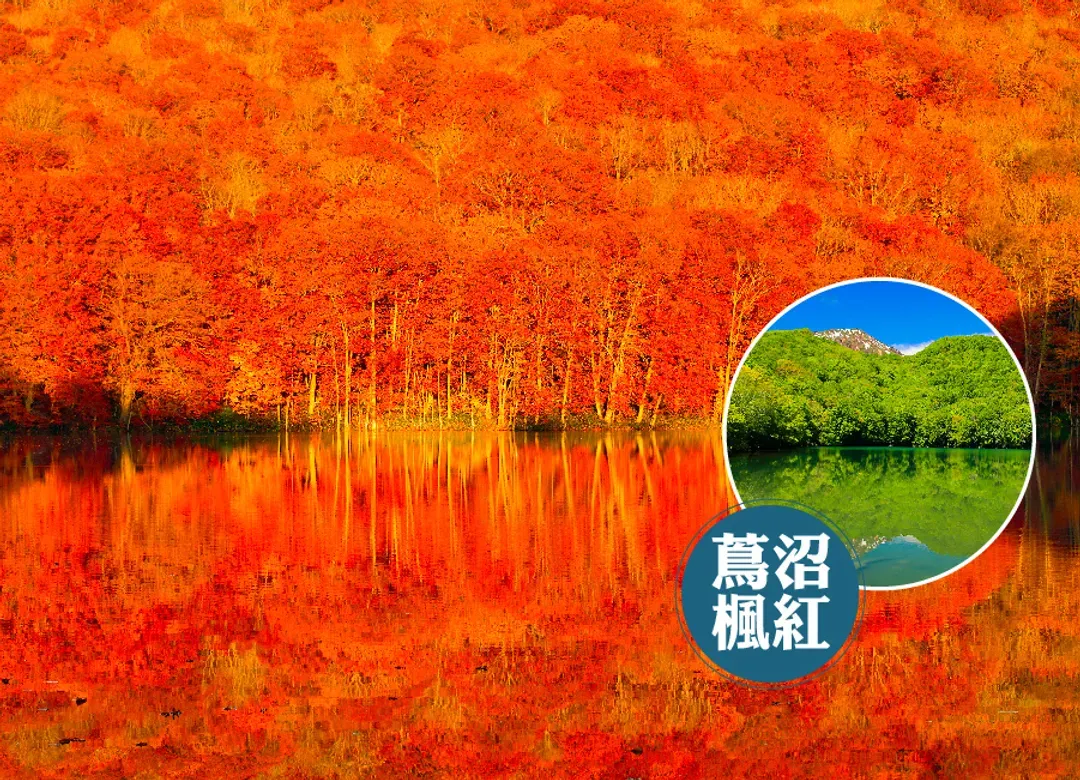東北秋楓溪語星野5日.入住青森屋.奧入瀨溪.猊鼻溪遊船.內陸鐵道.採青森蘋果.夢尋蔦沼.三溫泉-6