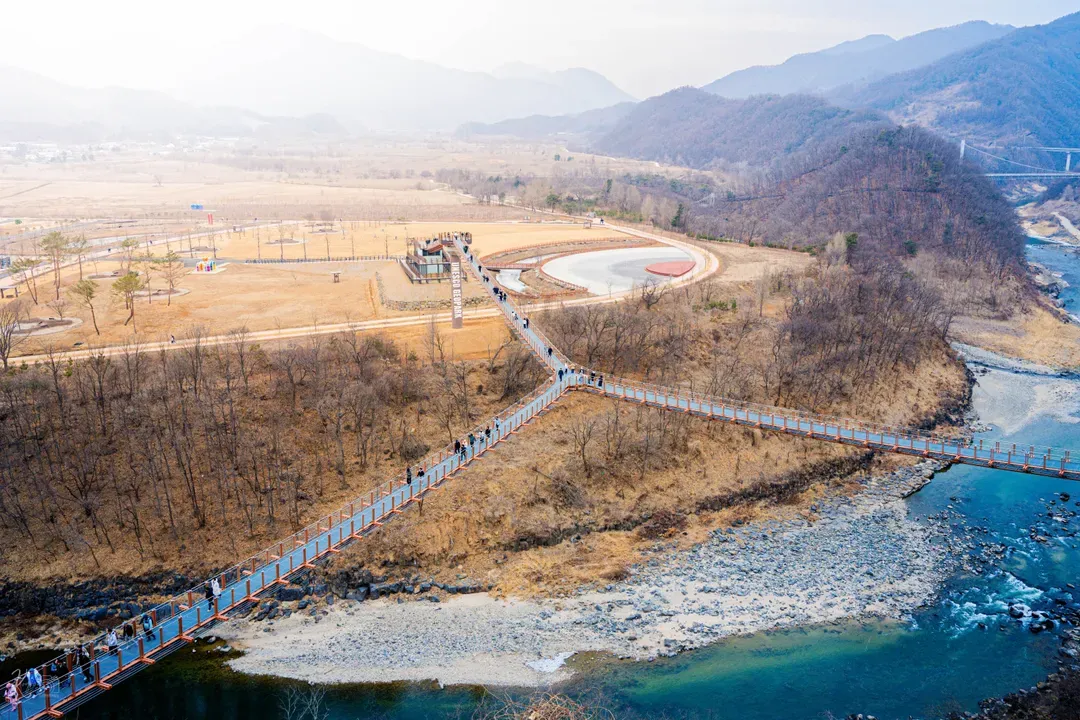 Y字型吊橋