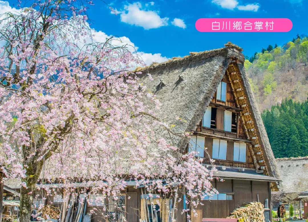高雄出發.夏日花現關西立山黑部溫泉6日.螃蟹近江牛.璀璨花海.金箔體驗.秘境上高地.合掌村.兼六園.大鳥大社.下鴨神社-8
