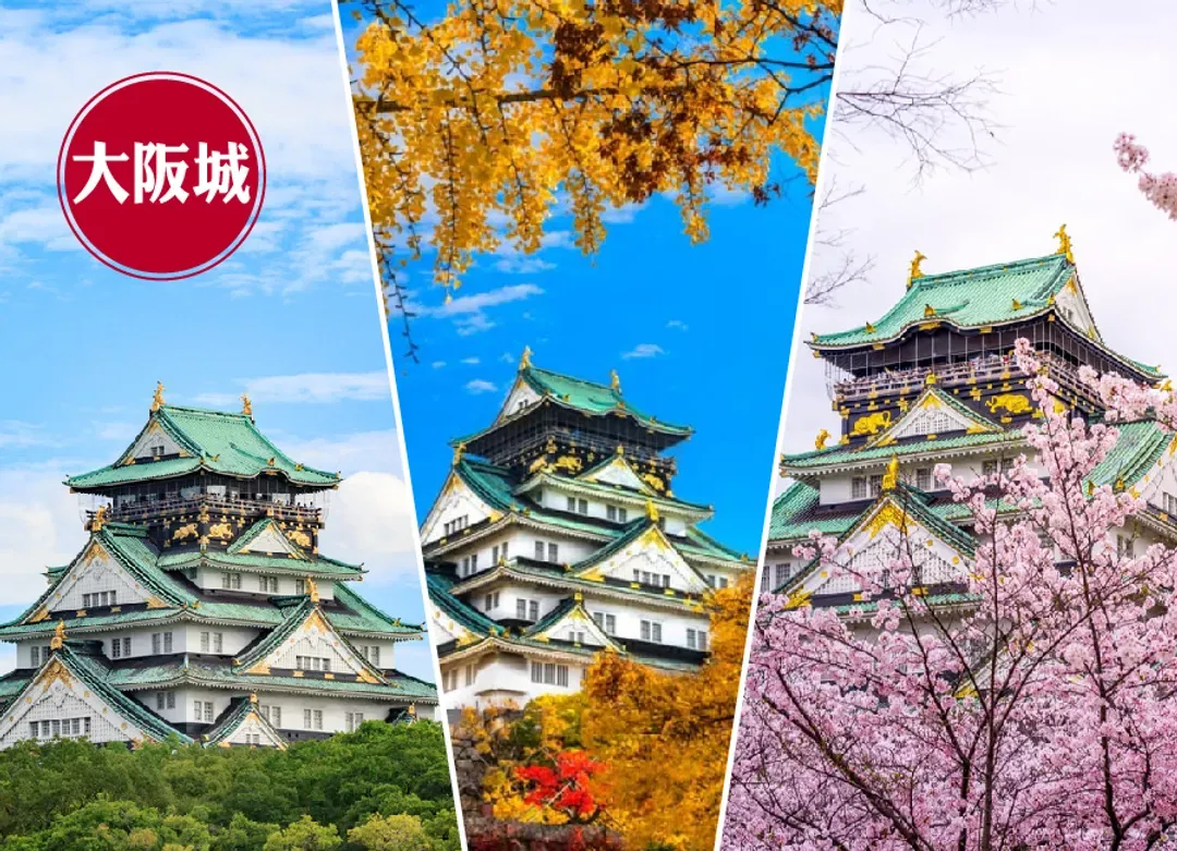 台中出發超值星體驗5日.一晚五星.米其林清水寺.北野異人館.嵐山叮叮車.伏見稻荷神社.奈良小鹿.燒肉吃到飽(星宇)-6