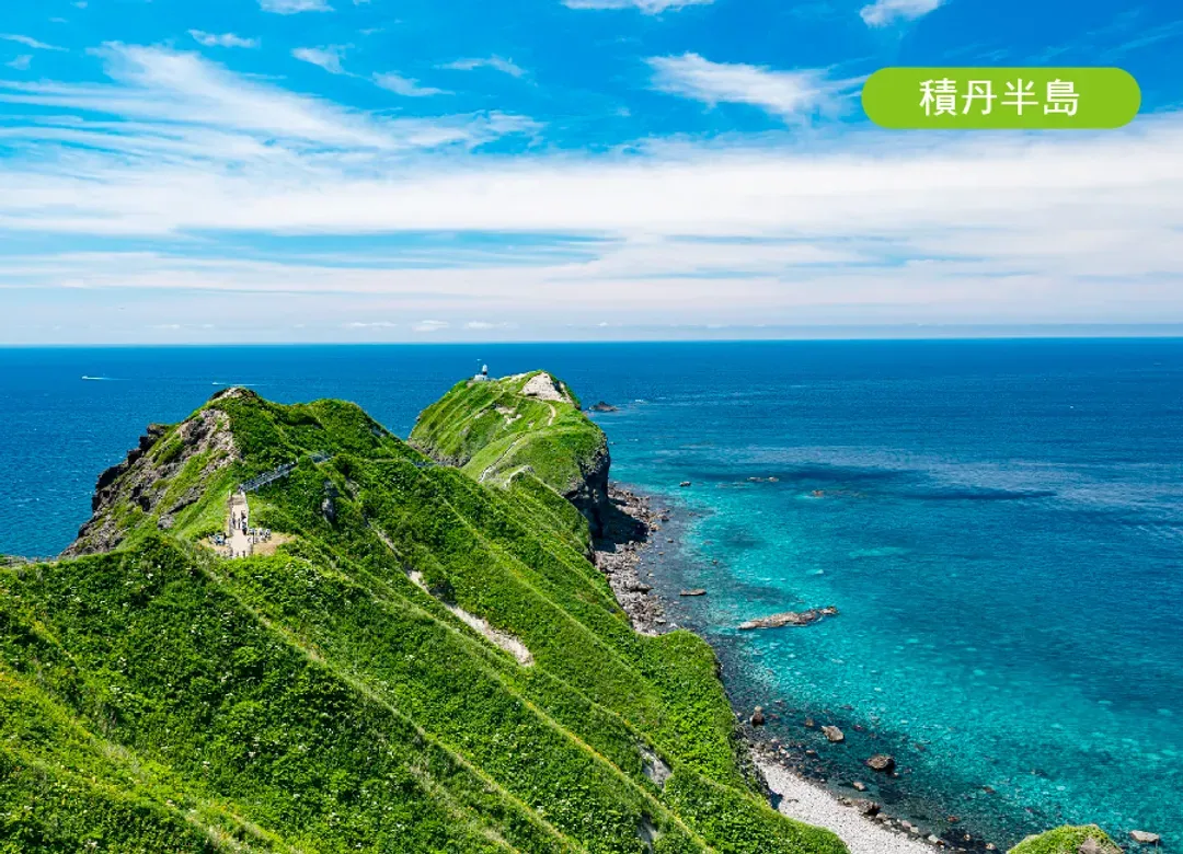 蔚藍夢幻北海道5日.積丹半島.美瑛秘境青池.四季彩之丘.洞爺湖花火.小樽水族館.哈密瓜吃到飽.敘敘苑燒肉.三大螃蟹吃到飽-6