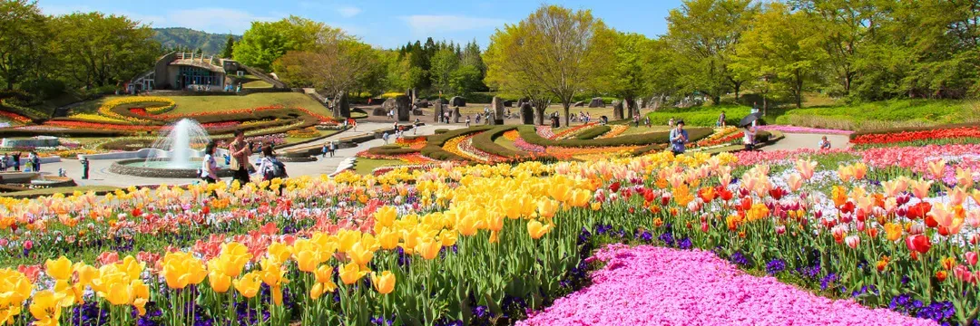 みちのく公園の春