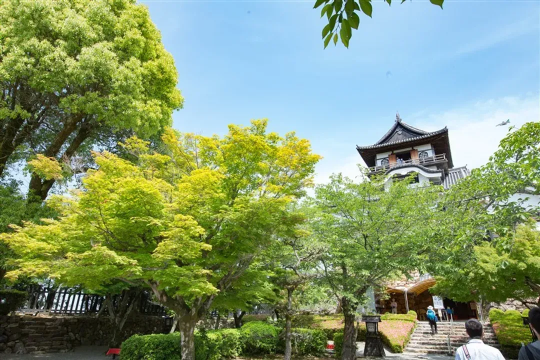 北陸暑假親子～日本雙唯一！福井恐龍彩繪列車ｘ恐龍博物館｜白川鄉合掌村.三方五湖纜車.犬山城.財運神社.自動車博物館.螃蟹溫泉五日-6