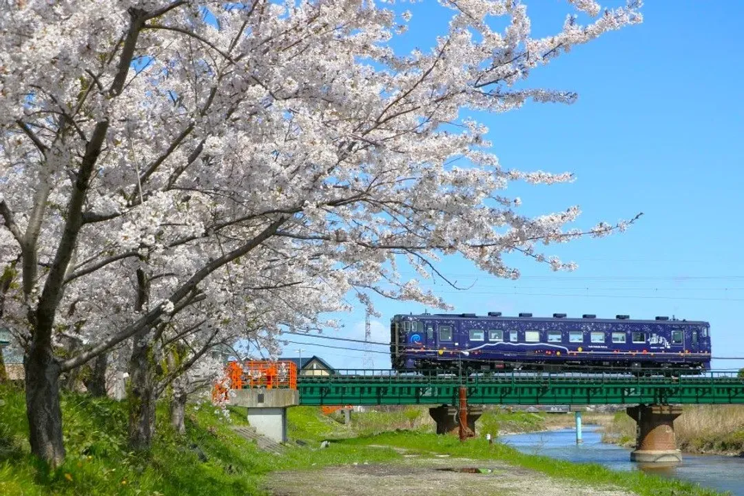 写真提供：道南いさりび鉄道/禁止轉載-湛藍海峽號鐵道(約1小時；午餐+甜點)