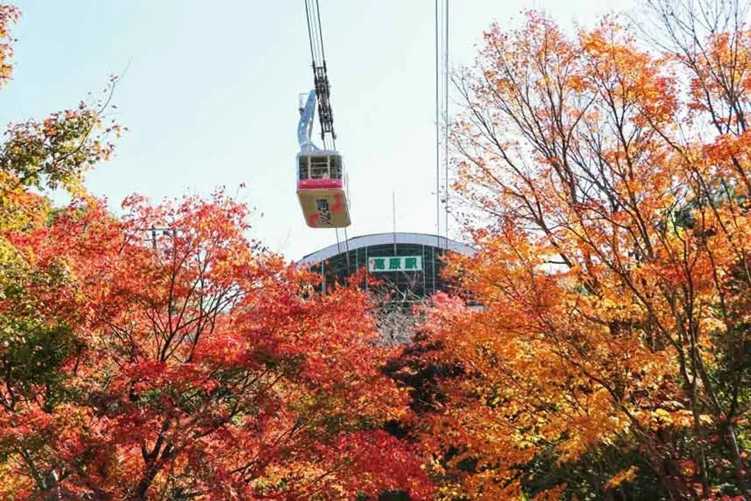別府空中纜車(紅葉)