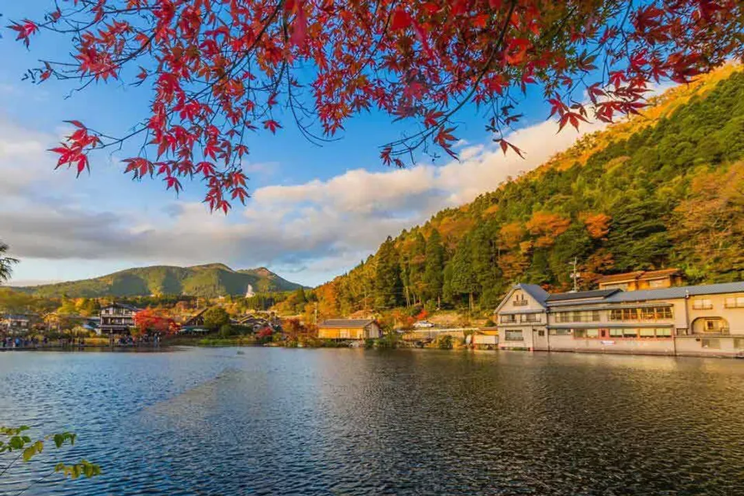 秋日紅葉賞