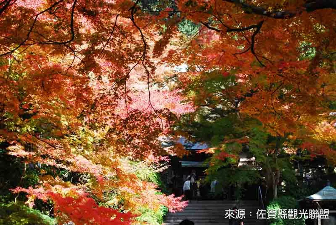 秋日紅葉賞