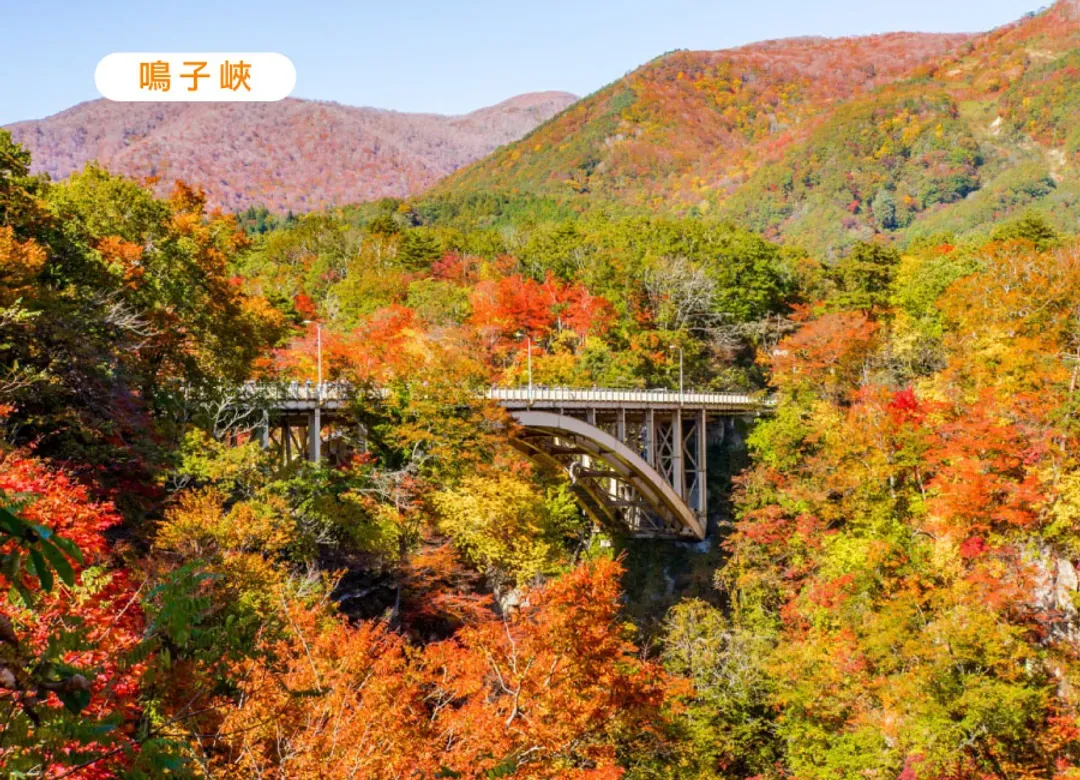 紅葉戀曲東北奧入瀨溪雙溫泉5日.銀河星空纜車.猊鼻溪遊船.鳴子峽.銀山溫泉.抱返溪谷.松島遊船.牛舌料理(花卷進仙台出)