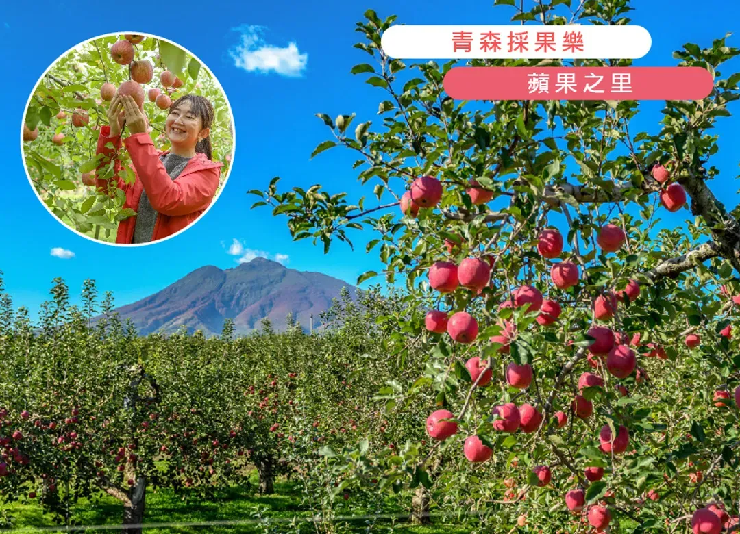 早鳥折兩千紅葉絮語.東北湯宿巡禮5日.奧入瀨紅葉.楓景鐵道.抱返溪谷.採果樂.狔鼻溪遊船.銀山溫泉.(仙台進花卷出)-5