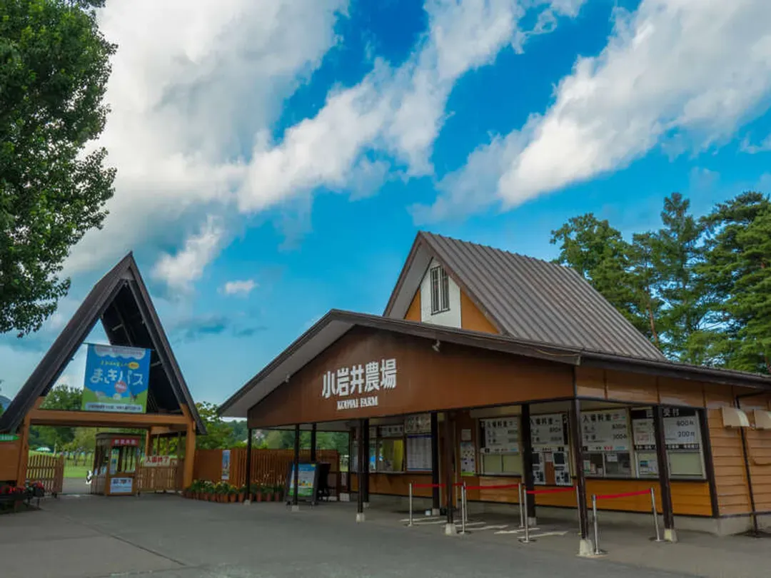 【日本三大花火大會】秋田大曲花火競技大會・小岩井農場・瀨美溫泉二日遊｜專屬觀賞椅席・保證入住美人湯｜東京出發-5