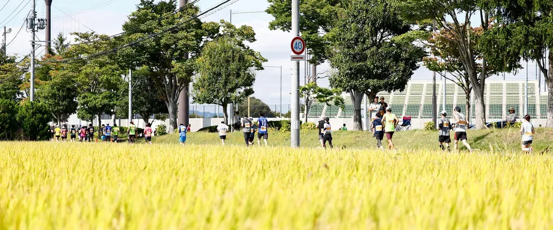 【2026山形馬拉松】參賽權＋超值精選2晚住宿-10