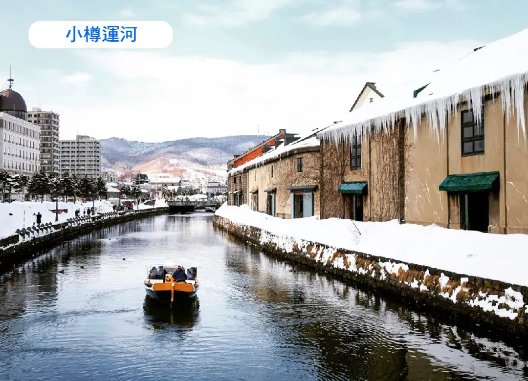 銀色戲雪北海道三溫泉5日.函館夜景纜車.爆萌企鵝遊行.玩雪三合一.札幌白色燈節.洞爺璀璨彩燈.三大螃蟹和牛吃到飽-9