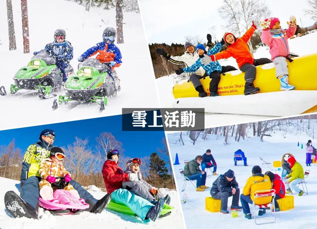 銀色戲雪北海道三溫泉5日.函館夜景纜車.爆萌企鵝遊行.玩雪三合一.札幌白色燈節.洞爺璀璨彩燈.三大螃蟹和牛吃到飽