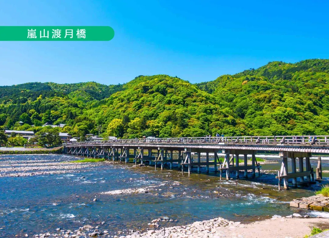 【僅此一檔】享樂花見關西5日.一晚京都.大阪璀璨花海.嵐山小火車.清水寺.奈良小鹿.龍蝦相撲鍋.燒肉海鮮吃到飽.酒水暢飲-6