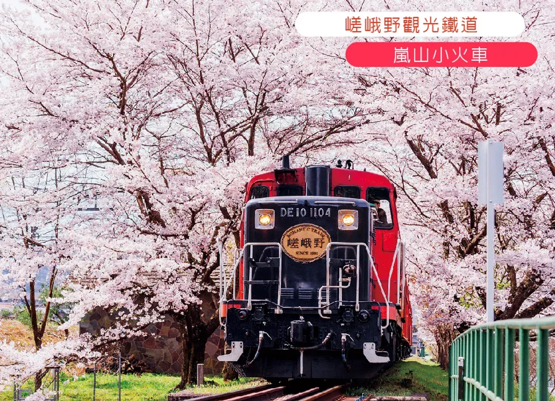 【僅此一檔】享樂花見關西5日.一晚京都.大阪璀璨花海.嵐山小火車.清水寺.奈良小鹿.龍蝦相撲鍋.燒肉海鮮吃到飽.酒水暢飲