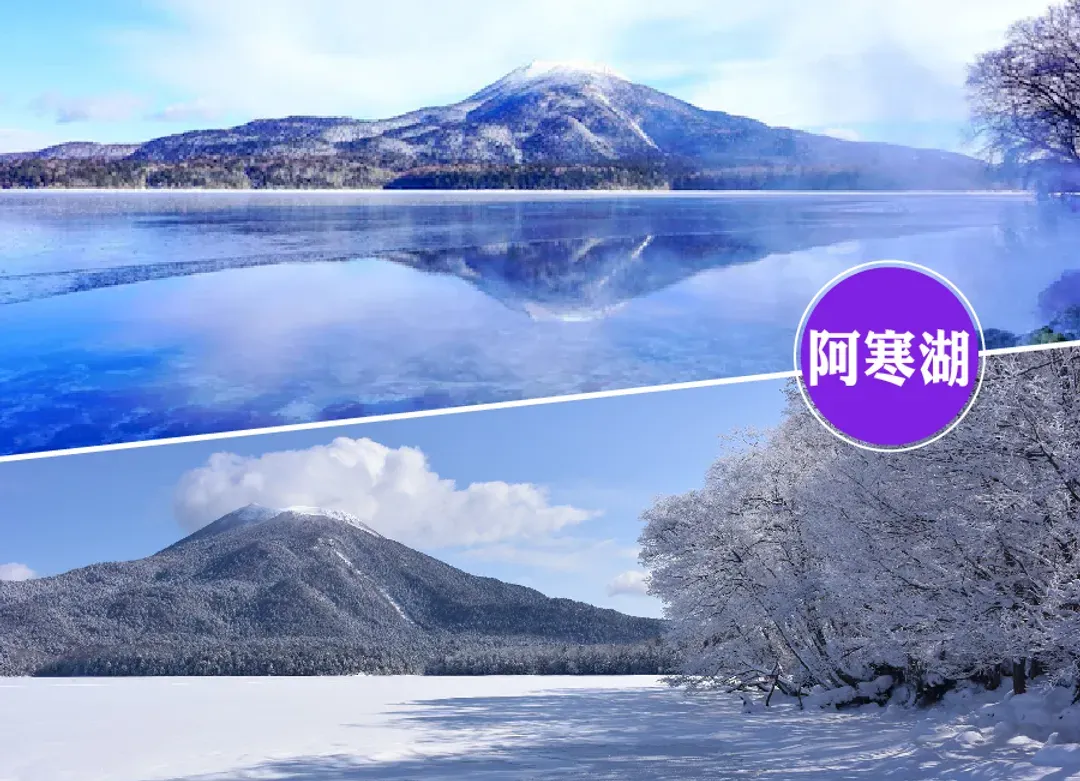 高雄出發雪夢幻北海道破冰船6日.阿寒湖冰上釣魚.旭山動物園.小樽運河遊船.白色燈節.三大螃蟹和牛美食-5