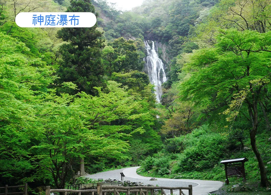 神話的故鄉雙溫泉5日.小豆島.足立美術館.出雲大社.金刀比羅宮.松江城遊船.法式料理和牛.冰淇淋DIY(早去晚回)