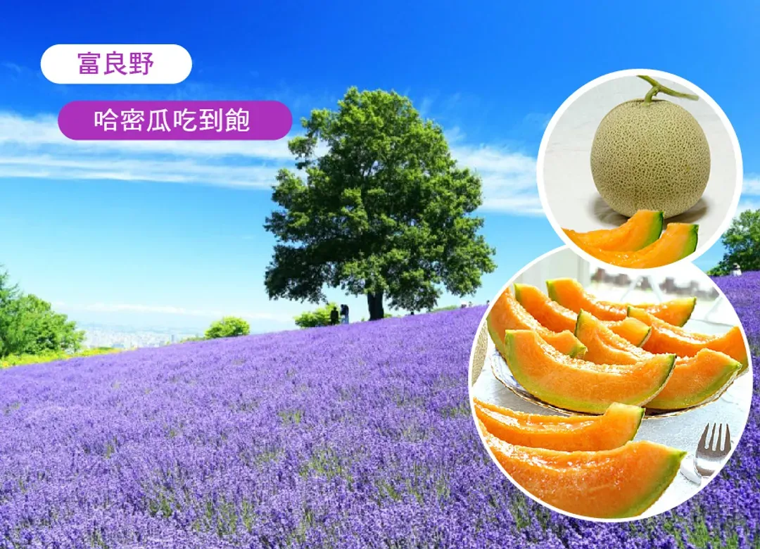 紫戀北海道雙溫泉6日.採果樂.美瑛富良野.薰衣草花田.旭山動物園.萌熊牧場.有珠山纜車.三大蟹+和牛+哈密瓜吃到飽