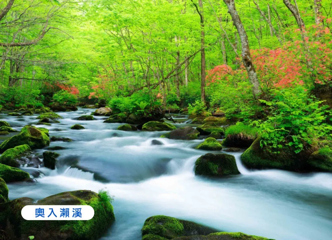 【TTE旅展】東北星空物語四重奏5日.奧入瀨溪谷.採果樂.銀山溫泉.松島遊船.銀河纜車.燒肉吃到飽(花仙)