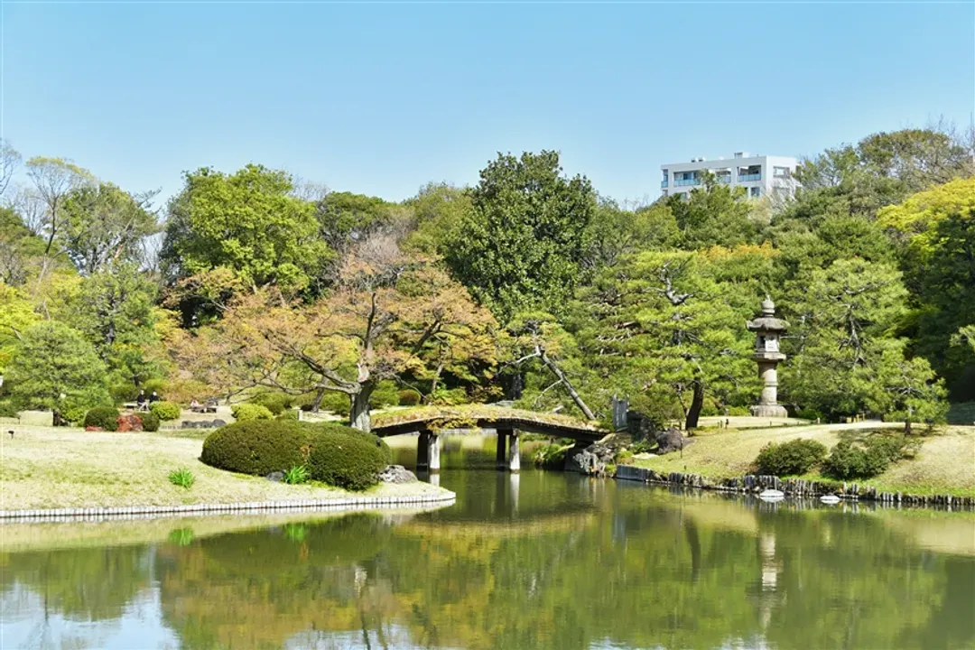 省最大東京｜東京鐵塔.輕井澤散策.川越老街.小諸城.忍野八海.螃蟹美食雙溫泉五日｜保住1晚希爾頓飯店-6