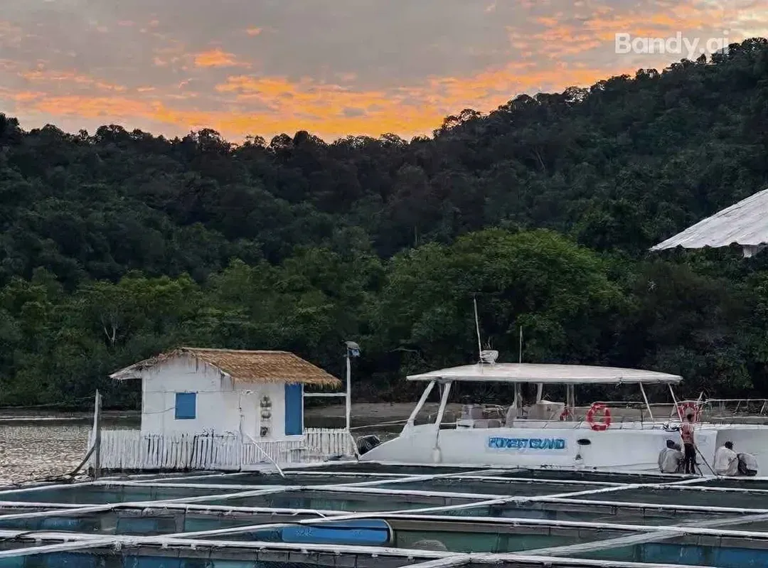 檳城跟團半自助～富樂島遊艇派對、十八丁漁村、綠灣生態探索、三輪車古城漫遊五日-7