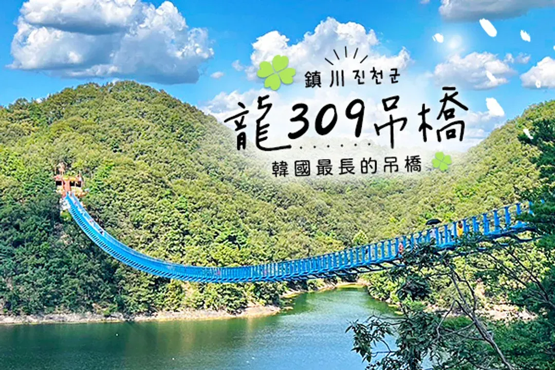 龍309懸索吊橋