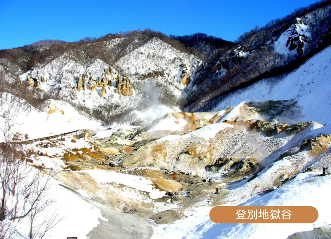 高雄出發雪夢幻北海道四溫泉6日.洞爺湖彩燈.企鵝遊行.函館夜景.藻岩山纜車.白色燈樹節.敘敘苑燒肉.螃蟹美食-9