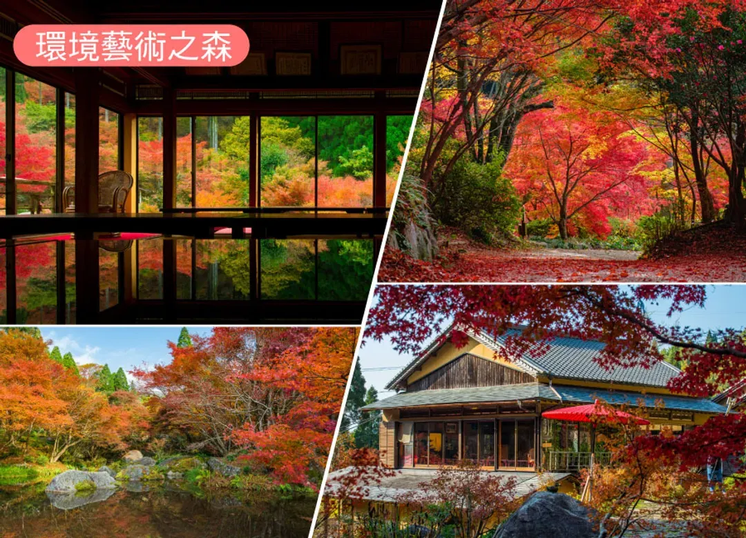 楓遊元氣佐賀大分5日.御船山樂園.雷山千如寺.唐津城.寶滿宮竈門神社.耶馬溪.湯布院童話小鎮.別府溫泉鄉(佐賀進大分出)