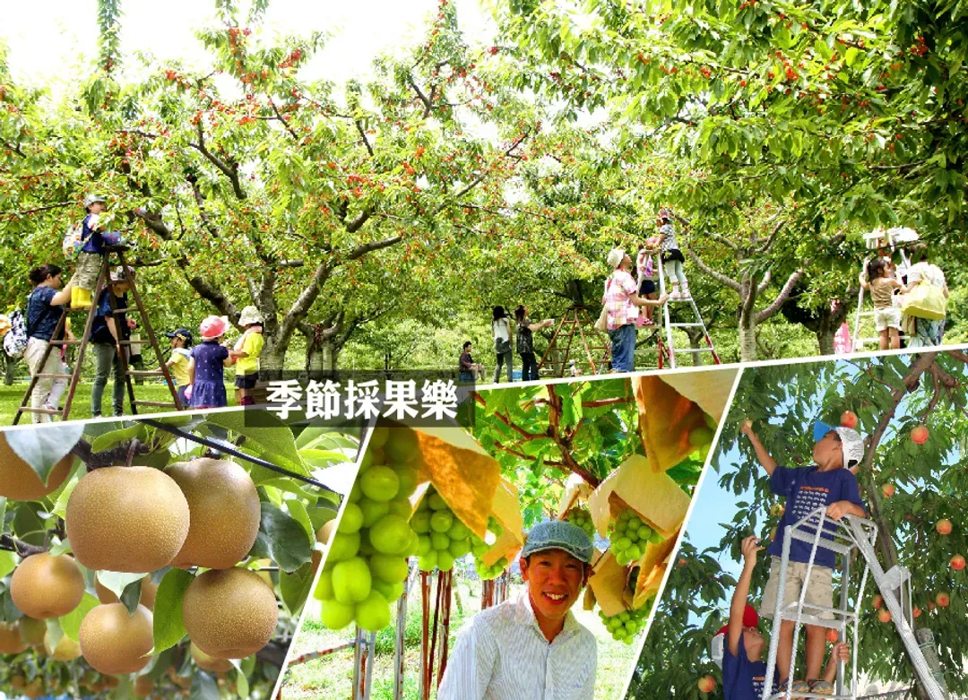 楓采東北百選溫泉5日.銀山溫泉.吾妻天空.五色沼.採果樂.松島遊船.狐狸村.烤魚板體驗.雙溫泉(新瀉進出)-10