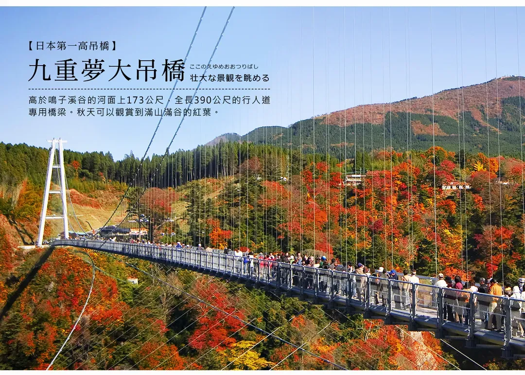 【福岡熊本玩楓了５日】別府空中纜車、高千穗峽、深耶馬溪、菊池溪谷、賞楓品蟹[含稅]