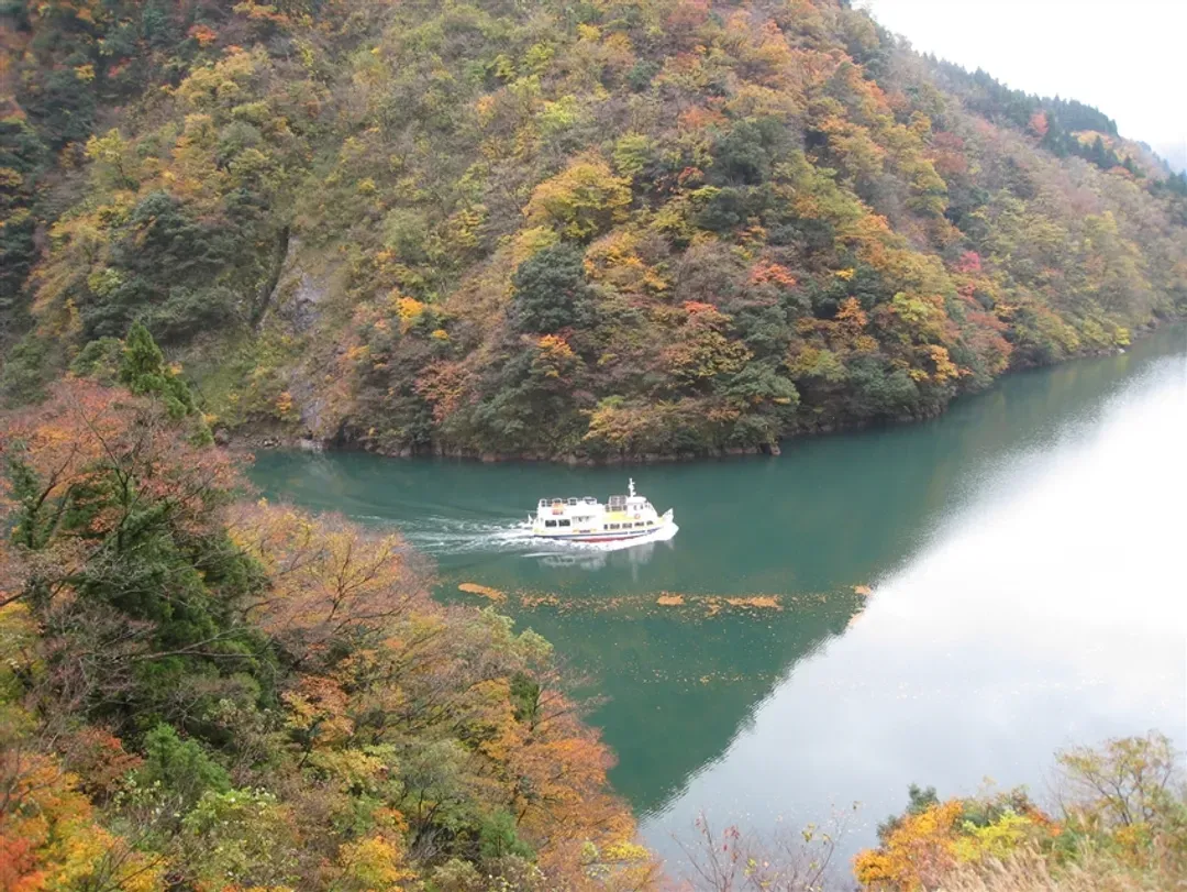 三零深度北陸全覽8日｜限量立山黑部～上高地輕健行！黑部峽谷鐵道.合掌村.鰻魚&飛驒牛美食.伊勢神宮.遊船.金箔體驗｜兩晚萬怡.四晚溫泉-10