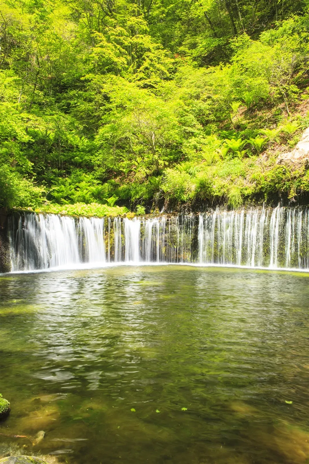 北陸旅遊|無自理餐|紅葉~黑部立山.上高地河童橋.合掌村.輕井澤螃蟹溫泉五日|高雄東京來回-7