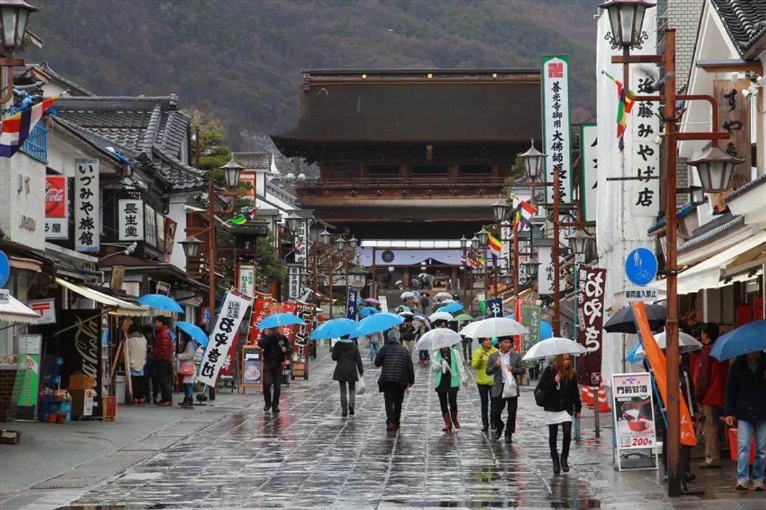 三零深度北陸全覽8日|楓染立山黑部~上高地輕健行!黑部峽谷鐵道.小諸蒸餾所.戶隱神社.善光寺.金箔體驗.鰻魚&飛驒牛美食|保住犬山英迪格-10