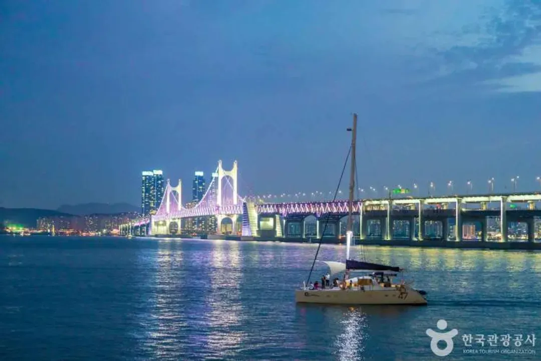 夜間遊艇