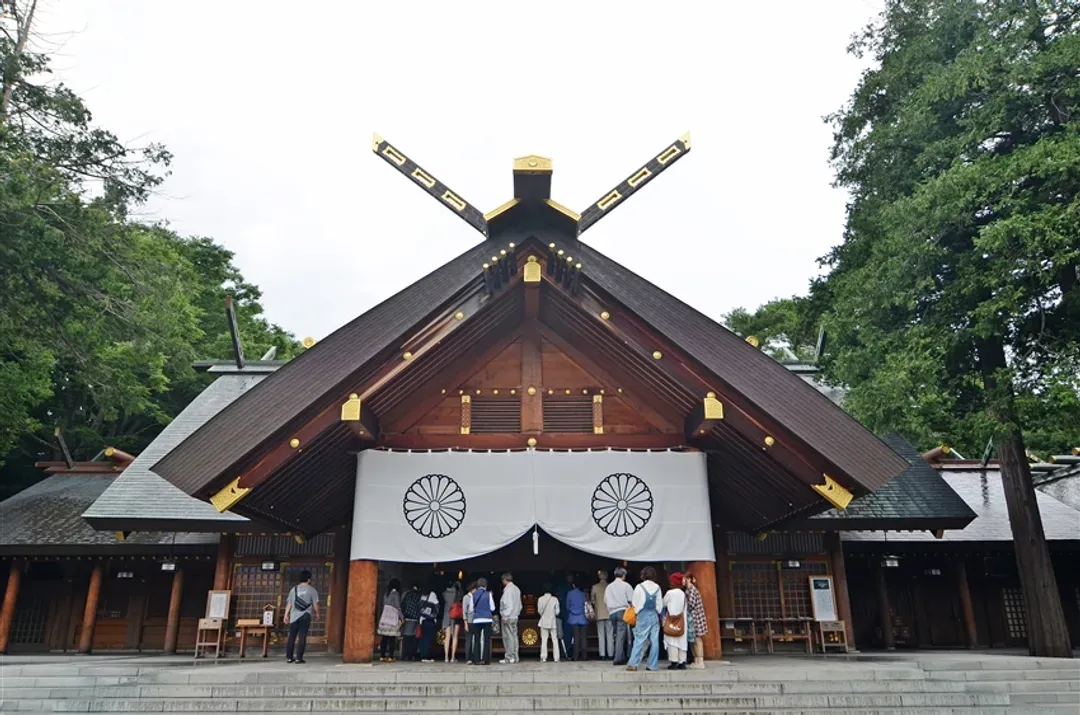 特選北海道旅遊｜冬季白色燈樹節.函館纜車.熊牧場.小樽漫遊.三大螃蟹溫泉函函五日