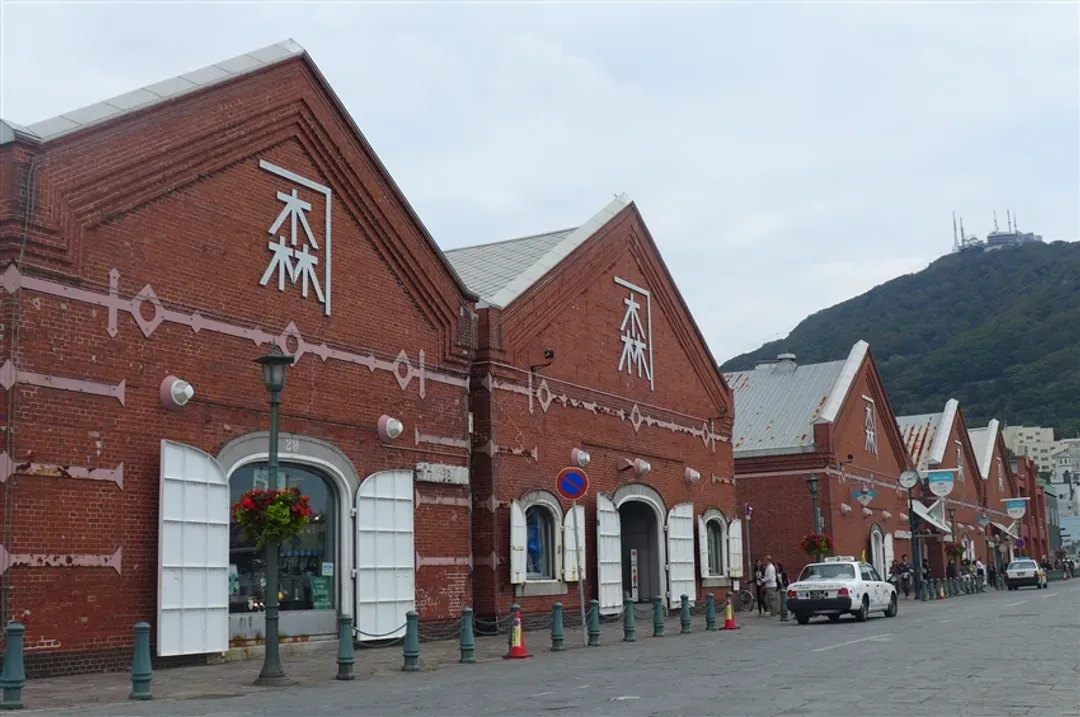 特選北海道旅遊｜冬季白色燈樹節.函館纜車.熊牧場.小樽漫遊.三大螃蟹溫泉函函五日-9