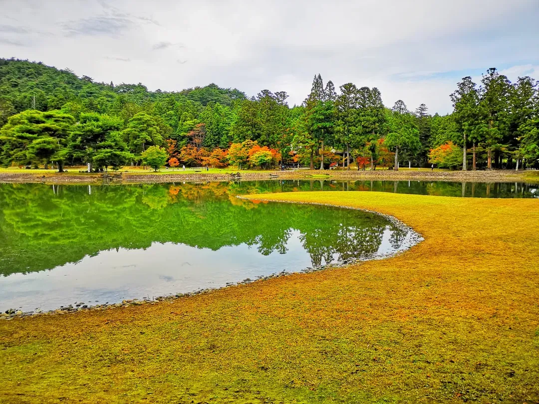 undefined-2