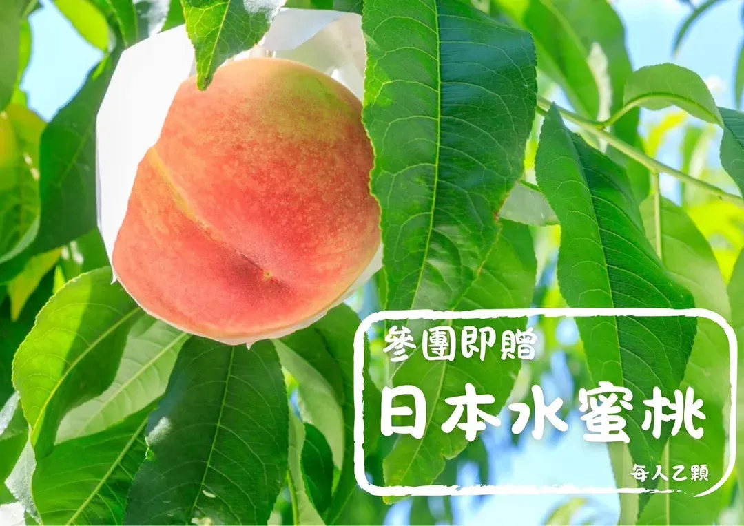 88節專案