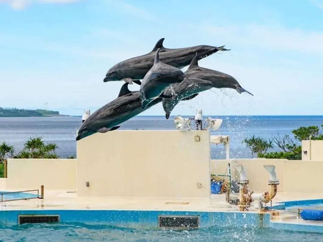 美麗海水族館(海洋博公園)