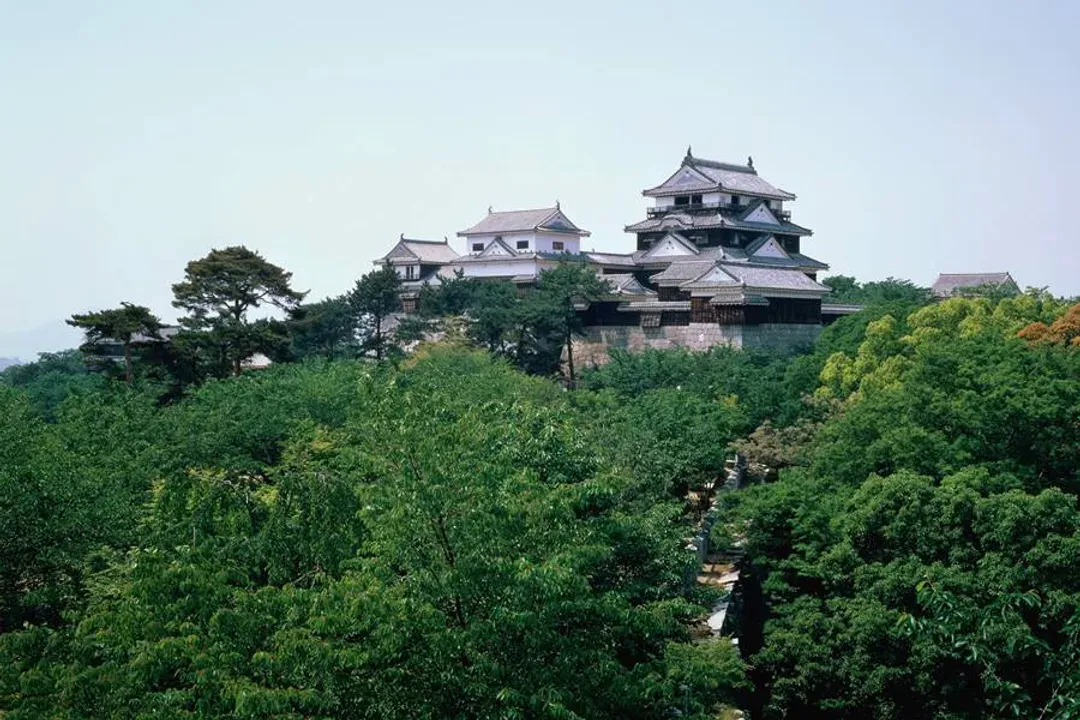 促銷松山四國～宮島嚴島神社、金刀比羅宮、大步危遊覽船、倉敷美觀OUTLET七日-10