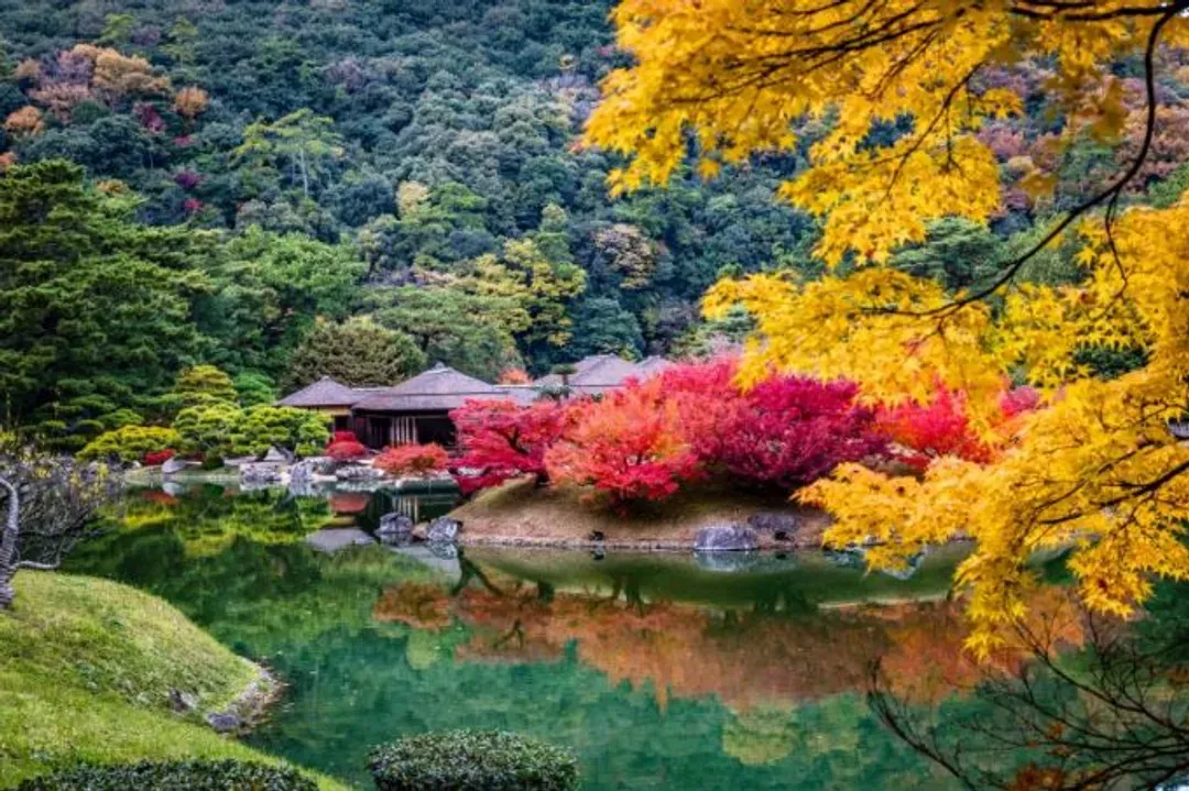 栗林公園(掬月亭品嘗日式煎茶)