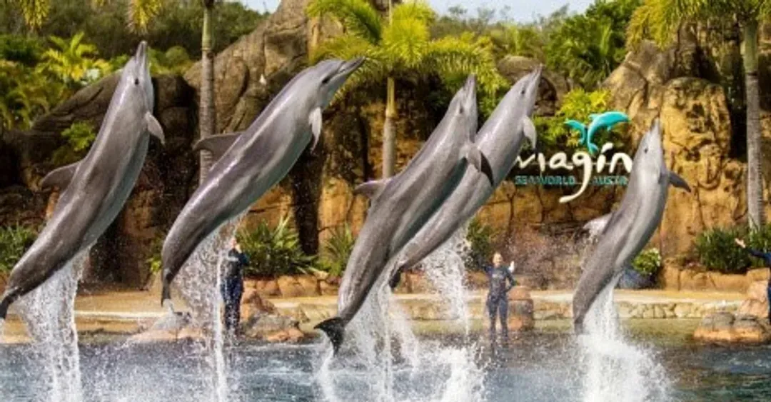 海洋世界主題樂園