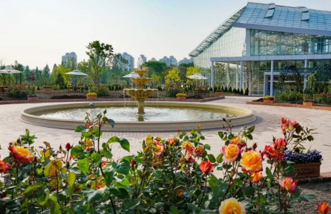 KHH長榮小資選～廣藏市場、馬場湖水公園、經典韓劇場景、乙晚市區飯店五日-5