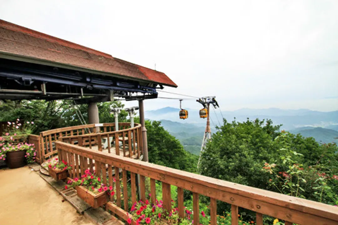 八公山道立公園(含纜車)