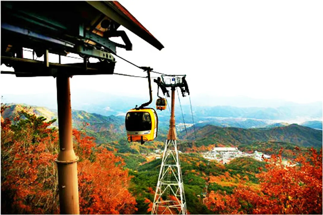 八公山道立公園(含纜車)