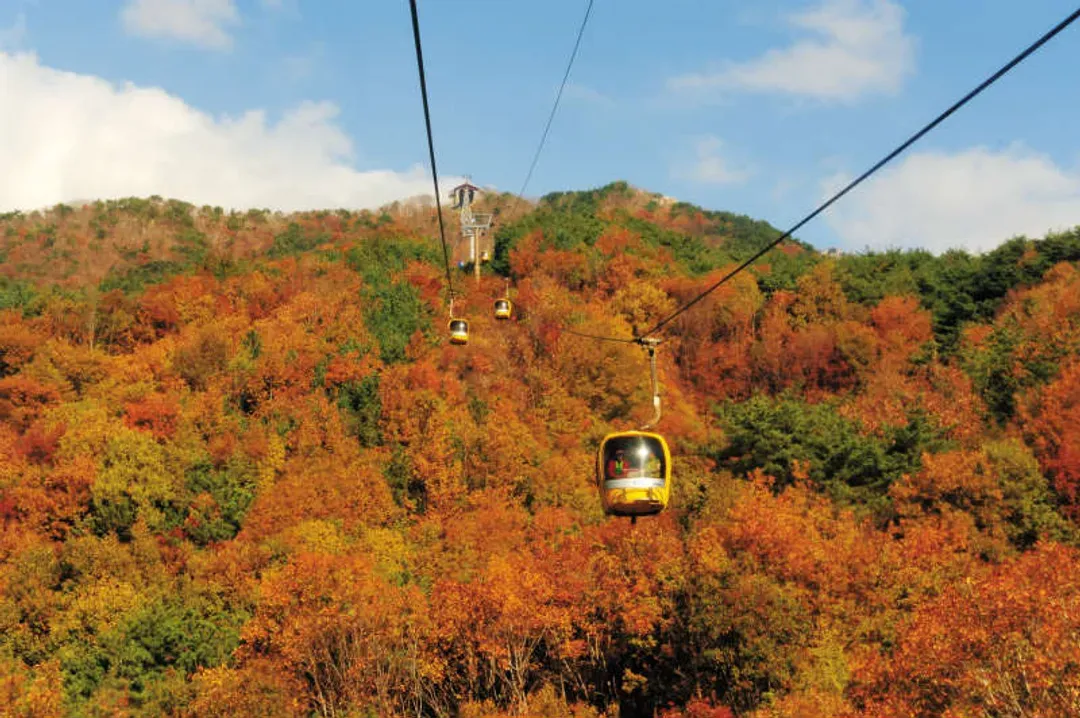 八公山道立公園(含纜車)