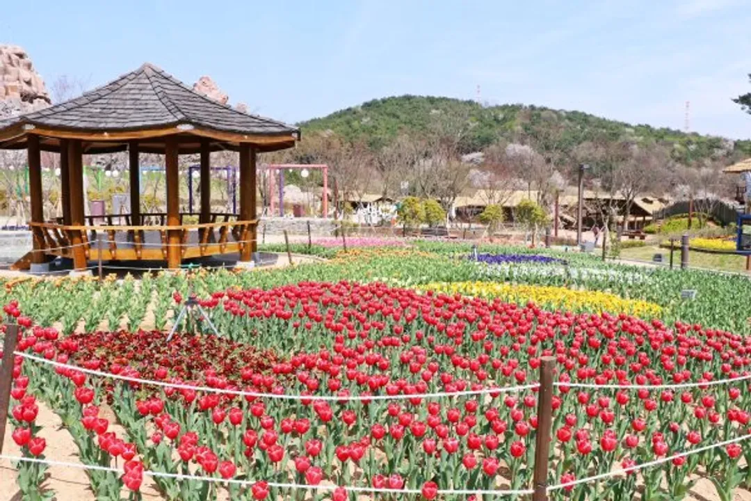 加耶主題公園-金海加耶主題公園(四季花園+塗鴉秀+韓服體驗)